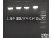 PlantGen DNA Kit<em> 植物基因组DNA提取试剂盒</em>