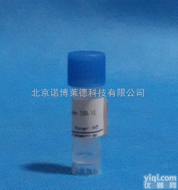 供应大鼠IgG（<em>冻干粉</em>）免疫<em>球蛋白</em>抗原