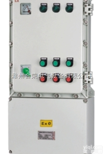 防爆配电箱  <em>防爆电器</em>︱BXM防爆照明（动力）配电箱IIB︱防爆箱 防爆控制箱