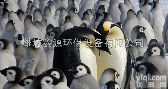 地埋污水处理设备型号【<em>扬程</em>M】<em>价格</em>