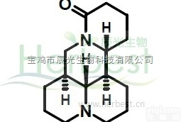 HPLC>98%  <em>槐定碱</em>|槐果碱|氧化槐果碱|槐角苷对照品-厂家价格