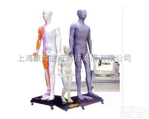 MAW-170A  多媒体按摩点穴人体<em>针灸</em>穴位发光模型|中医<em>教学模型</em>