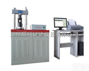 <em>TSY-2000S型全自动恒应力压力试验机</em>