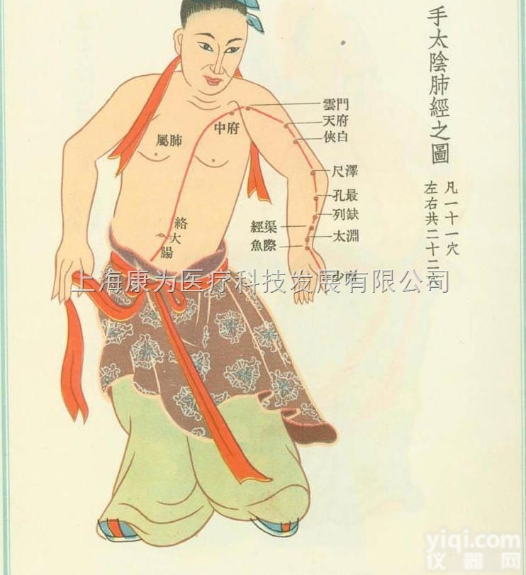 TCM3249  中医针灸<em>挂图</em>：手太阴肺经图|中医<em>教学仪器</em>
