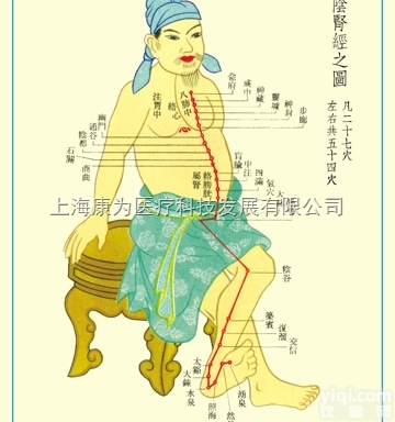 TCM3254  中医针灸<em>挂图</em>：足少阴肾经图|中医<em>教学仪器</em>