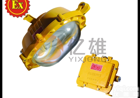 BC9100-J-100W防爆<em>泛光灯</em> BC9100-J100<em>优质</em>内场防...