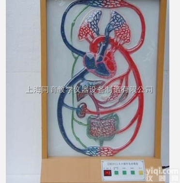 KAT/A19027 大<em>小循环</em>电动模型|电动医学<em>教学模型</em>