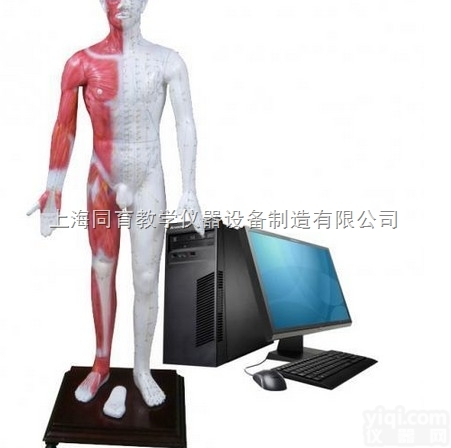 MAW-170E 多媒体人体针灸<em>穴位</em>发光<em>模型</em>|<em>中医专科</em>医学训练<em>模型</em>