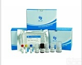 鸡<em>生长激素</em>（GH）ELISA试剂盒<em>特异性</em>