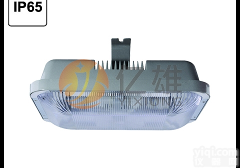 ZY8130  ZY8130/ZY8130-W40泛光<em>无极</em>灯、低碳<em>泛光灯</em>ZY8130、...