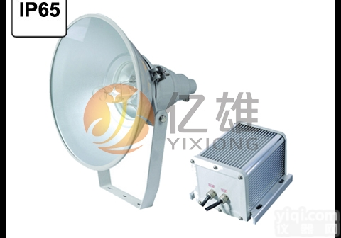 <em>ZY8310</em>-N250  <em>ZY8310</em>-N250/<em>ZY8310</em>-N400抗震型<em>投光灯</em>、节能<em>投光灯</em>...