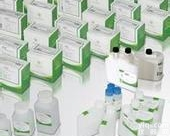 <em>2-萘甲酰氯</em>