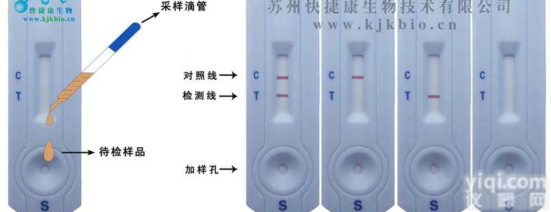 kjkA005B  <em>喹诺酮</em><em>检测卡</em>