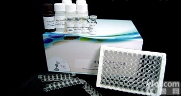 <em>豚鼠</em>核<em>因子</em>κB受体激活<em>因子</em>ELISA试剂盒