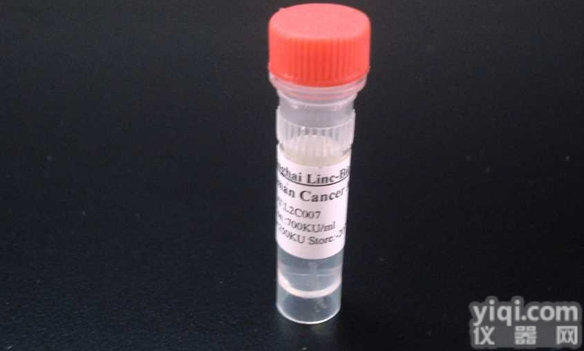 CTR1/<em>SLC31A1</em><em>抗体</em>