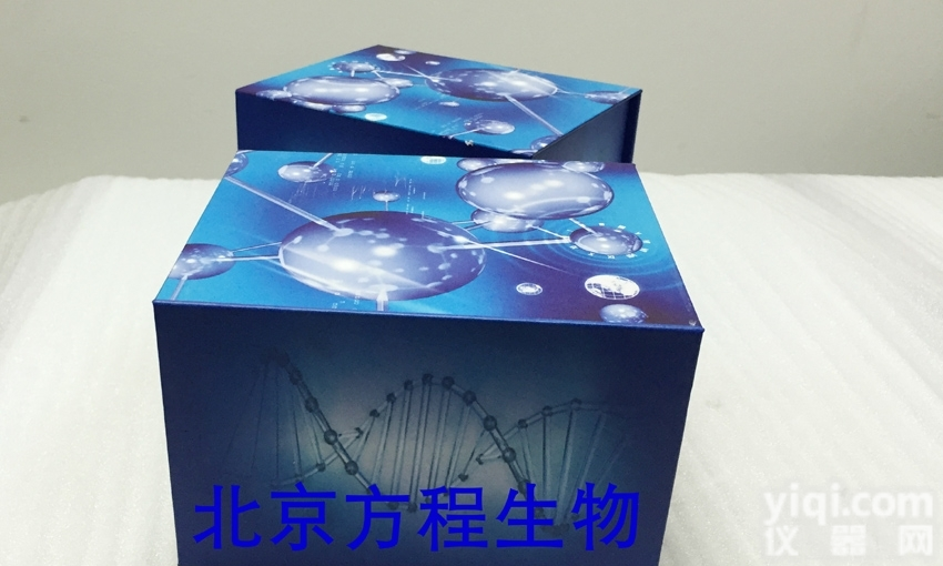 IL-2--  大鼠<em>氨基</em>端<em>前脑</em>钠素<em>ELISA</em>,NT-ProBNP检测试剂盒,elisa...