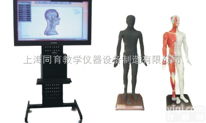 WST-55M 55寸多媒体人体针灸<em>穴位</em>交互数字平台|<em>中医专科</em>医学训练...
