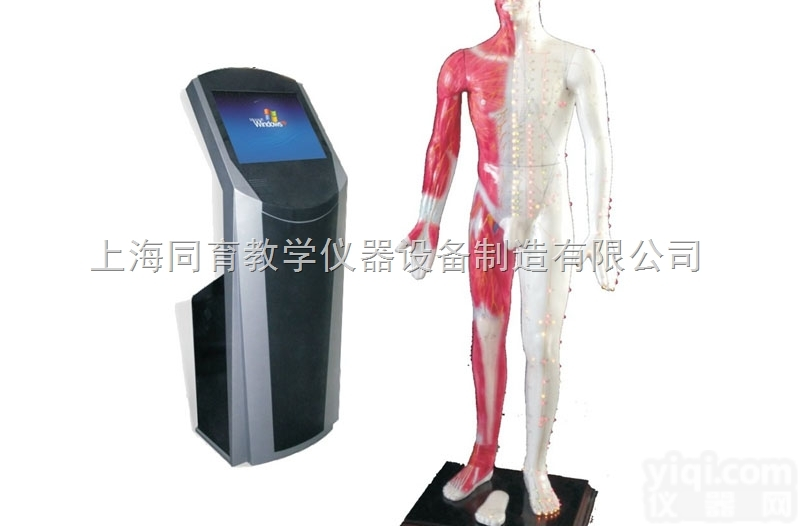 WST-19M 19寸多媒体人体针灸<em>穴位</em>交互数字平台|<em>中医专科</em>医学训练...