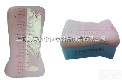 KDF/ZC-B 背部<em>仿真</em><em>针刺</em>练习平台|中医专科医学训练<em>模型</em>