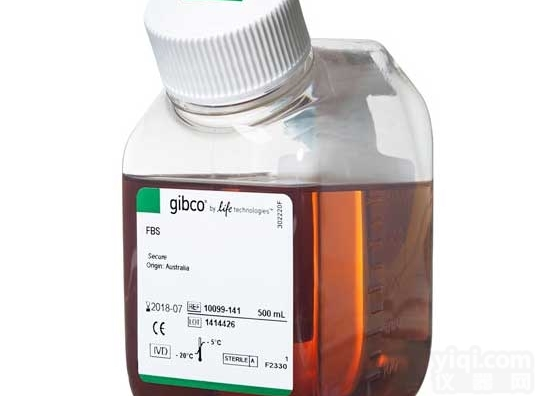 <em>澳洲</em>原装Gibco<em>澳洲</em>胎牛<em>血清</em>