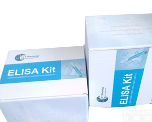 人B细胞κ 轻肽基因增强子核<em>因子</em>YZ<em>因子</em>ε（Nfkbie）<em>测定</em>试剂盒