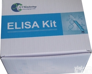 大鼠细胞色素C氧化酶亚单位Ⅲ（<em>COX</em>Ⅲ）<em>测定</em>试剂盒