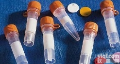 Beta-casomorphin<em>抗体</em>