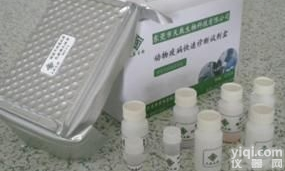 Phospho-<em>Calcineurin</em> B （Tyr106）<em>抗体</em>