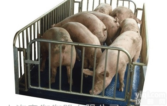 <em>动物</em>专用<em>电子秤</em>带围栏称5头活猪电子地<em>磅秤</em>