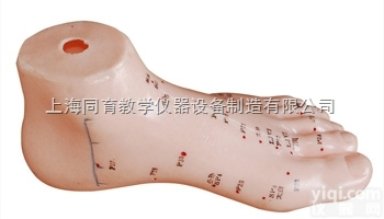 KAT/510 足针灸<em>模型</em> 13CM|<em>中医</em>专科医学训练<em>模型</em>