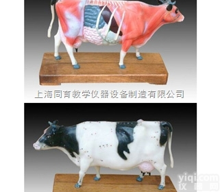 KAT/603 牛体针灸模型|<em>中医专科医学训练模型</em>