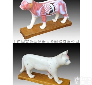 KAT/605 猫体针灸模型|<em>中医专科医学训练模型</em>