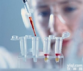 Anti-Lipin 1<em>抗体</em>,<em>磷脂</em>酸<em>磷酸酯酶</em>LPIN1<em>抗体</em>