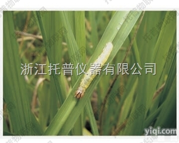 托普物<em>联网</em>在<em>农林</em>“四情”监测的中应用