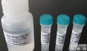 抗<em>植物蛋白</em><em>大豆</em>、<em>花生</em>AhDMT-1抗体