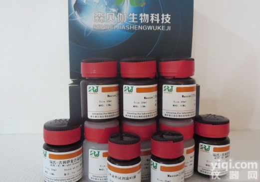 DNA凝胶加样缓冲液（10×DNA Loading Buff...