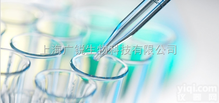 <em>小鼠</em>EMAb elisa<em>试剂盒</em>厂家 <em>小鼠</em>抗子宫<em>内膜</em>抗体价格