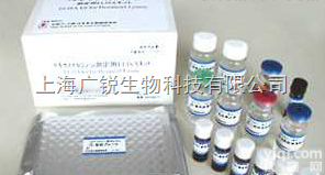 人NNE elisa<em>试剂盒</em>厂家 人非<em>神经元</em>性<em>烯醇</em>化酶价格