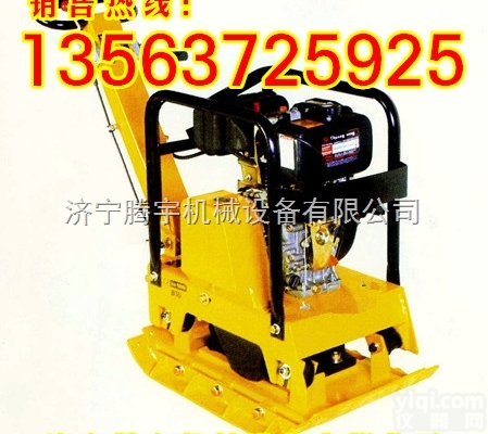 TYPB-30A  厂家直供振动<em>夯实</em>机<em>平板</em><em>夯实</em>机