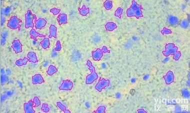 JRD0059  <em>形态学</em>甲苯胺蓝<em>染色</em>服务