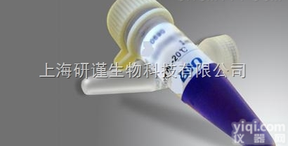 100次  Multicolor <em>Protein</em> <em>Marker</em> 广谱彩虹预染蛋白M...