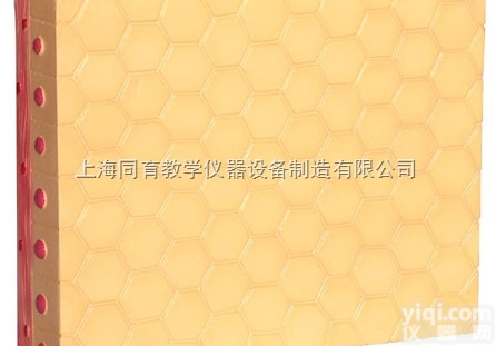 KAT/5054  <em>单层</em><em>立方</em><em>上皮组织</em>|高级解剖医学模型