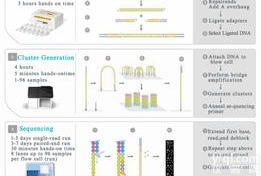 JRD327  高<em>通量</em>测序<em>技术服务</em>