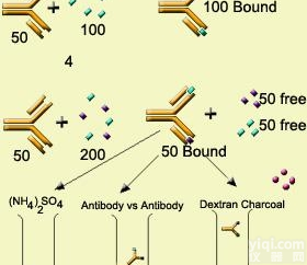 JRD221  放射<em>免疫</em>（RIA）<em>实验</em>外包
