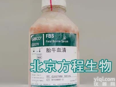 <em>10437</em>-028gibco<em>优等</em>级胎牛<em>血清</em>（墨西哥）