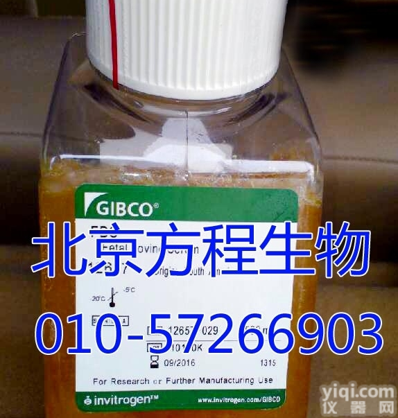 12676-029  Gibco<em>血清</em><em>活性炭</em>处理胎牛<em>血清</em>