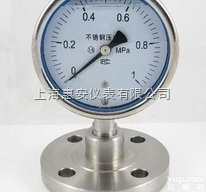 <em>YM系列隔膜压力表</em>