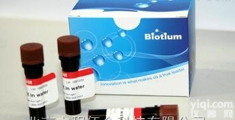 biotium原装 <em>GelRed</em> <em>核酸</em>凝胶<em>染料</em>染剂