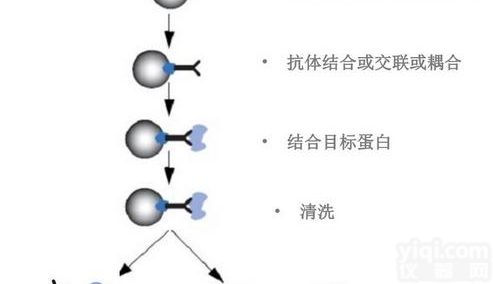 JRD273  染色质<em>免疫共沉淀技术服务</em>