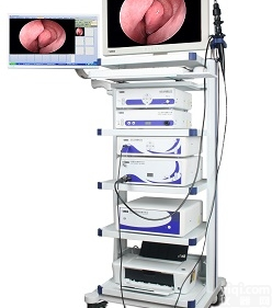 1  鼻窦镜器械 耳镜 喉镜 支撑喉镜器械 <em>内窥镜</em>摄像<em>系统</em> 鼻窦吸引切割器